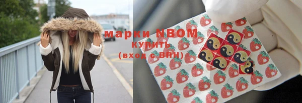 сатива Новокубанск