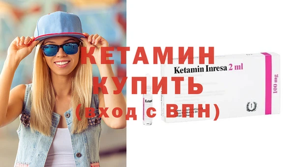 сатива Новокубанск