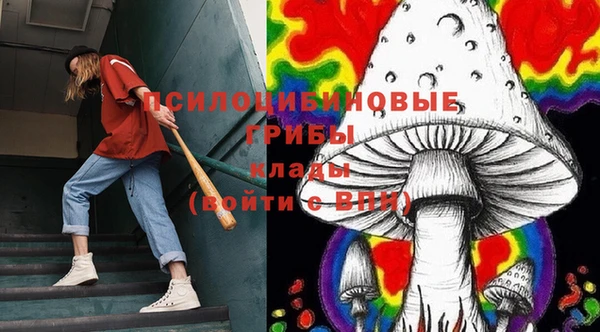 сатива Новокубанск