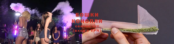 индика Елизово