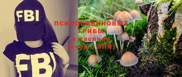 спайс Нефтекумск