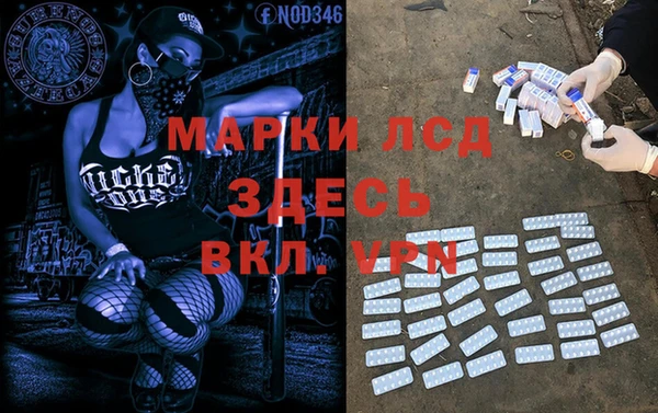 сатива Новокубанск