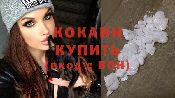 сатива Новокубанск