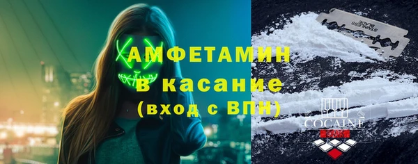 сатива Новокубанск