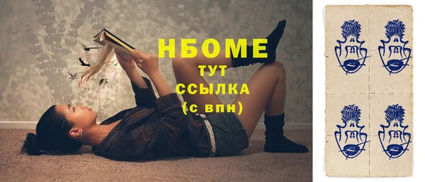 сатива Новокубанск