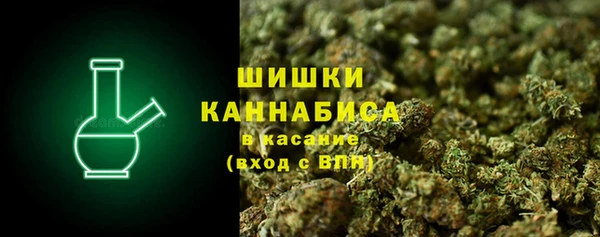 сатива Новокубанск