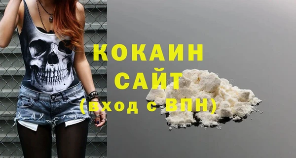 сатива Новокубанск
