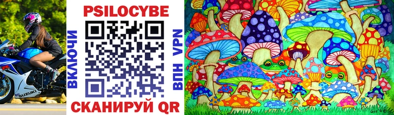 Псилоцибиновые грибы MAGIC MUSHROOMS  Клинцы 