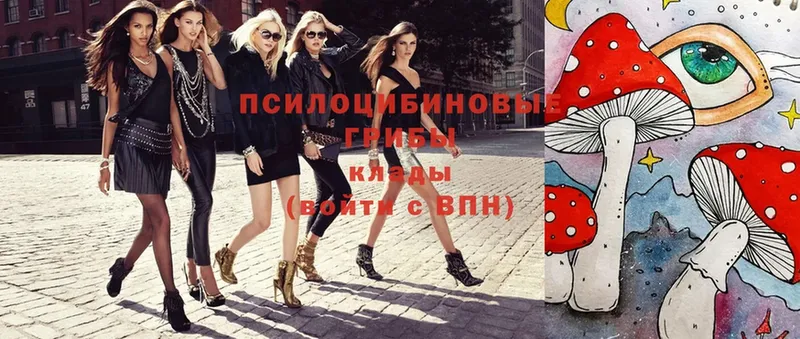 shop наркотические препараты  Клинцы  Галлюциногенные грибы мухоморы  блэк спрут как зайти 