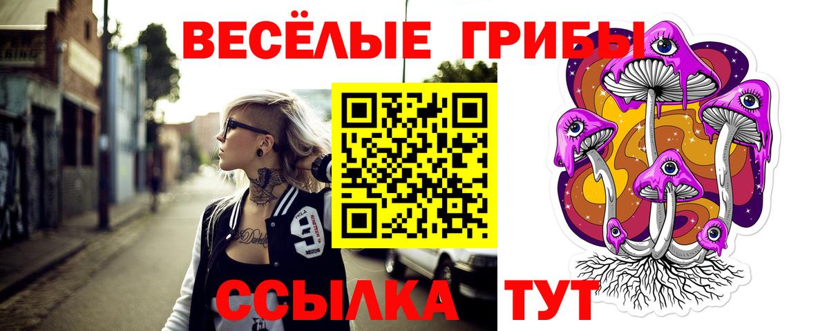 Клинцы  Галлюциногенные грибы мухоморы  Вход с VPN 