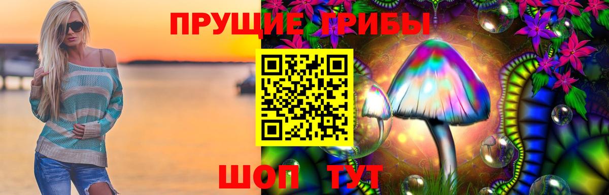 Псилоцибиновые грибы мицелий Клинцы